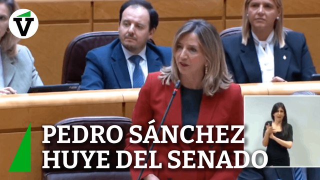 El PP pregunta al Gobierno: ¿Por qué Pedro Sánchez no da explicaciones y huye del Senado?