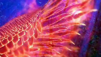 Thousand Autumns | พันฤดูใบไม้ร่วง | EP10