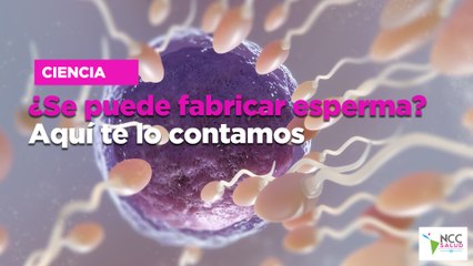 ¿Se puede fabricar esperma? Aquí te lo contamos