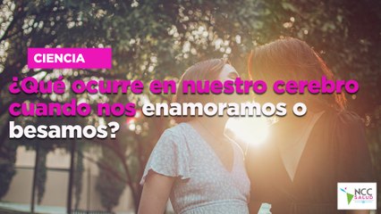 ¿Qué ocu­rre en nues­tro ce­re­bro cuan­do nos enamo­ra­mos o be­sa­mos?