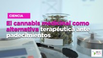 El cannabis medicinal como alternativa terapéutica ante padecimientos