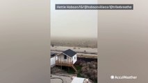 Tumbleweeds take over Utah neighborhood