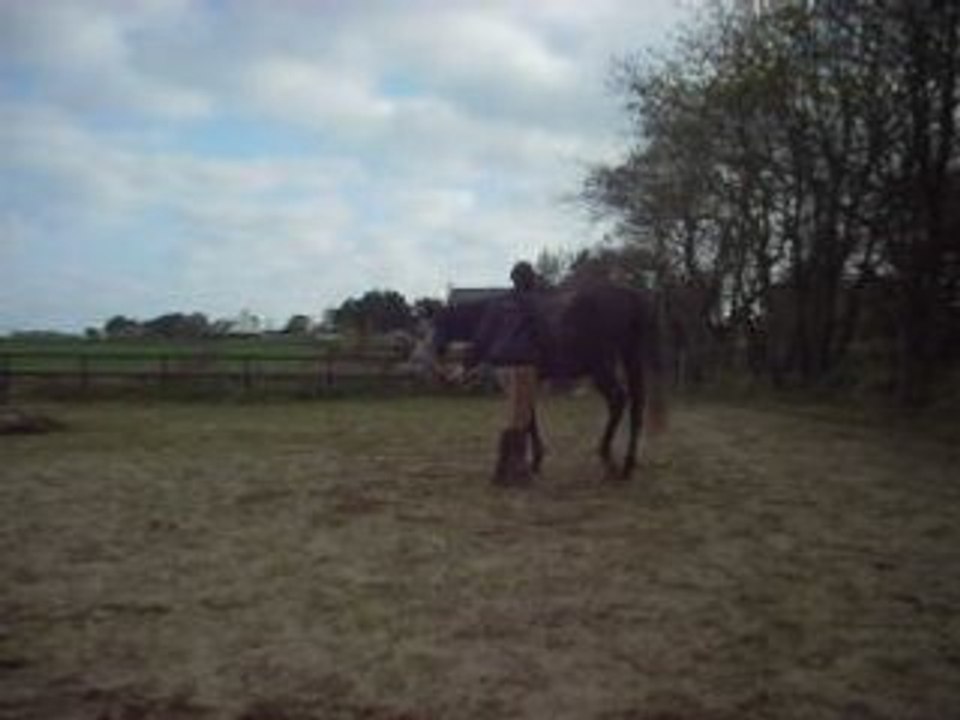 Jeu du cercle en lib