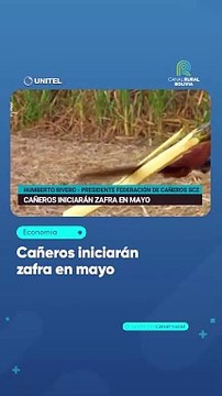 Santa Cruz: Cañeros proyectan 12,5 millones de quintales de azúcar y 180 millones de litros de etanol para la zafra de 2024