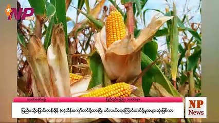ယနေ့ မတ်လ ၈ ရက်အတွက် ပြည်တွင်းနှင့် ပြည်ပက သတင်းထူးများ