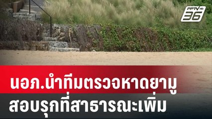 นอภ.นำทีมตรวจหาดยามู สอบรุกที่สาธารณะเพิ่ม | เข้มข่าวค่ำ | 8 มี.ค. 67