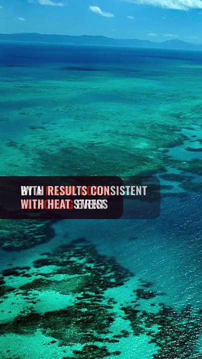 Australia’s Great Barrier Reef suffers major coral bleaching