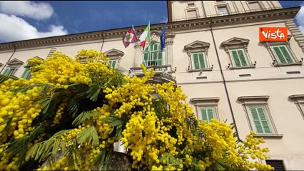 Otto marzo, l'ingresso del Quirinale addobbato dalle mimose