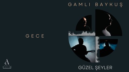 Gamlı Baykuş - Gece