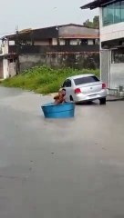 Morador ousado se torna 'Pescador Urbano' durante enchente em Dias d'Ávila"