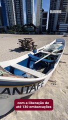 Governo federal define regras para safra da tainha 2024