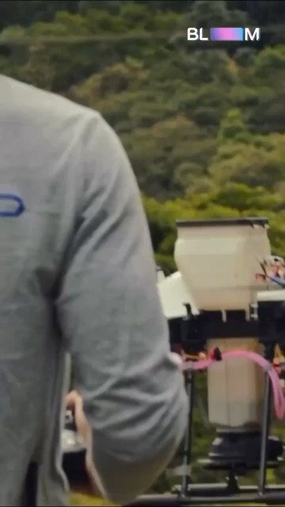 Restaurer l’ecosystème forestier grâce à des drones !