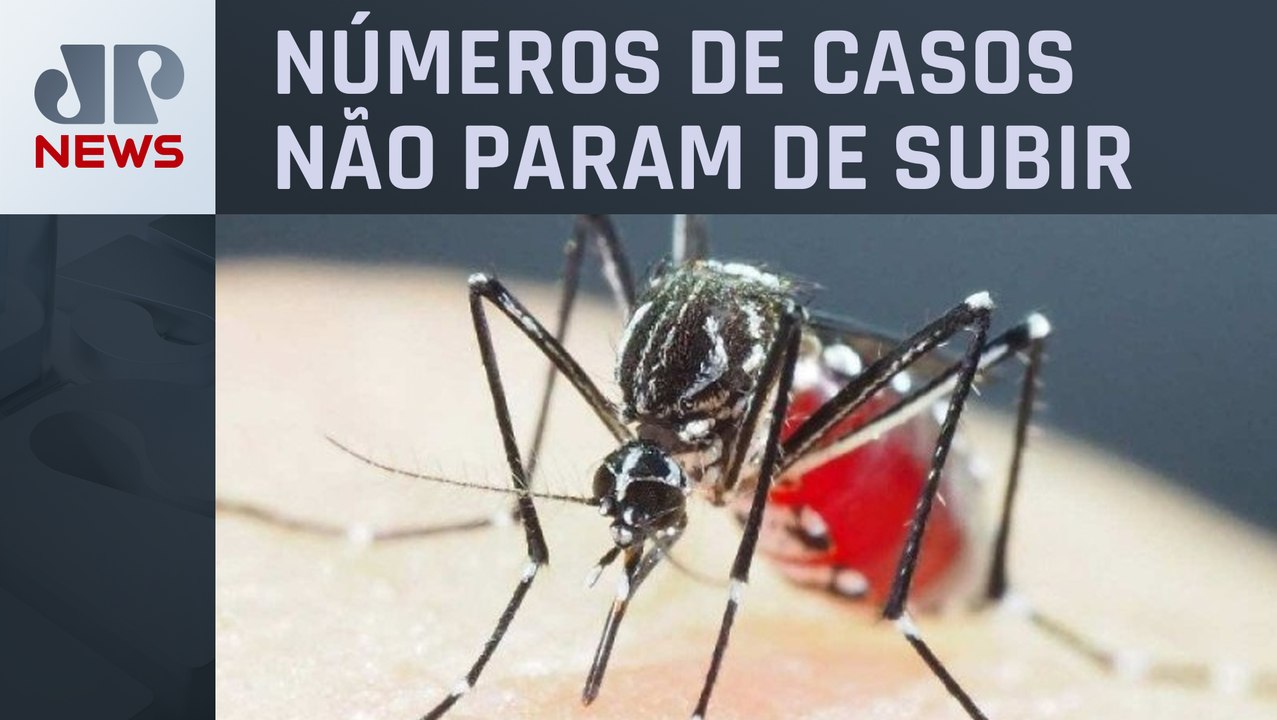Governo de São Paulo decreta estado de emergência para dengue