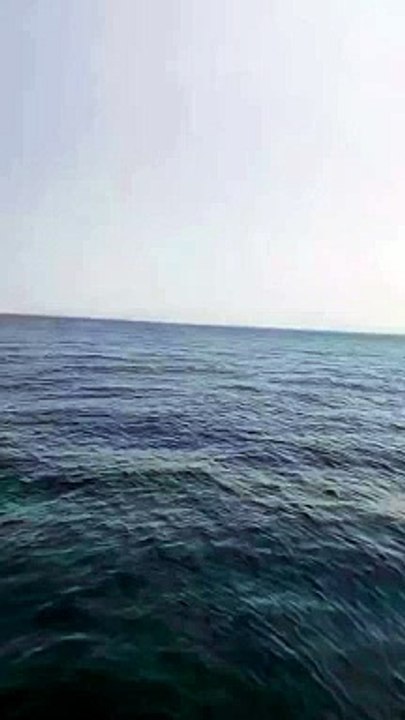 Fishing Time