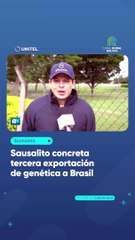 Sausalito concreta tercera exportación de genética a Brasil
