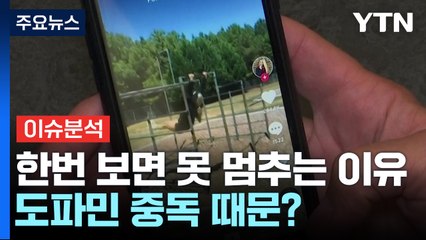 [뉴스라이더] 도파민이 터진다...'숏폼 중독' 뇌를 망치는 습관 / YTN