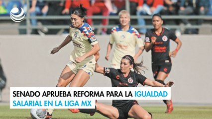 Senado aprueba reforma para la igualdad salarial entre mujeres y hombres en la Liga MX
