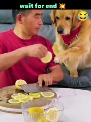 Funny video | Entertaining video | Do not laugh | Try not to laugh