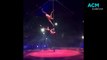A new act joins the Great Moscow Circus | The Advocate | March 6, 2024