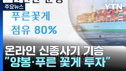 "해외 양봉·꽃게 투자" 신종 사기 '기승'...전담 수사팀 특별 단속 / YTN