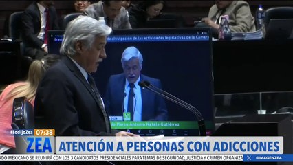 El Partido Verde busca garantizar los derechos de las personas con adicciones