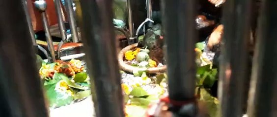 जटाशंकर धाम