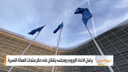 برلمان الاتحاد الأوروبي ومجلسه يتفقان على حظر منتجات العمالة القسرية بالصين