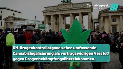Deutschlands umstrittener Weg: Cannabislegalisierung und internationale Rechtskonflikte