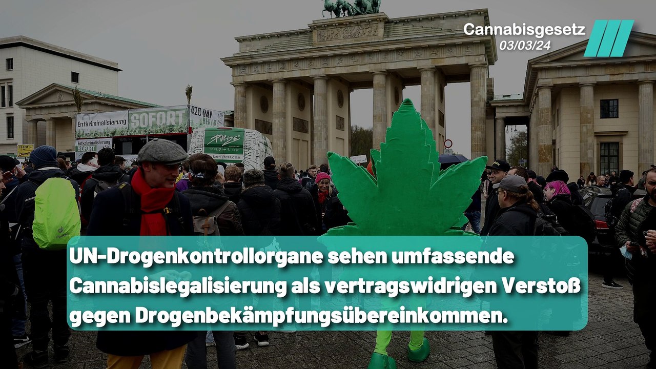 Deutschlands umstrittener Weg: Cannabislegalisierung und internationale Rechtskonflikte