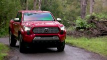 2024 Toyota Tacoma Limited in Supersonic Red Driving Video