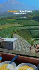 Negeri Sayur Sukomakmur Sejuk, Indah Banget!!
