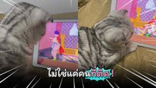 ไม่ใช่แค่คนที่ติด “ดำดง” นางเอกลิเกสายฮา คณะศรรัก แต่เจ้าเหมียวก็ติดหนึบ !