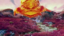 Mong Tong - Birds (Short FIlm by D.FXTD)