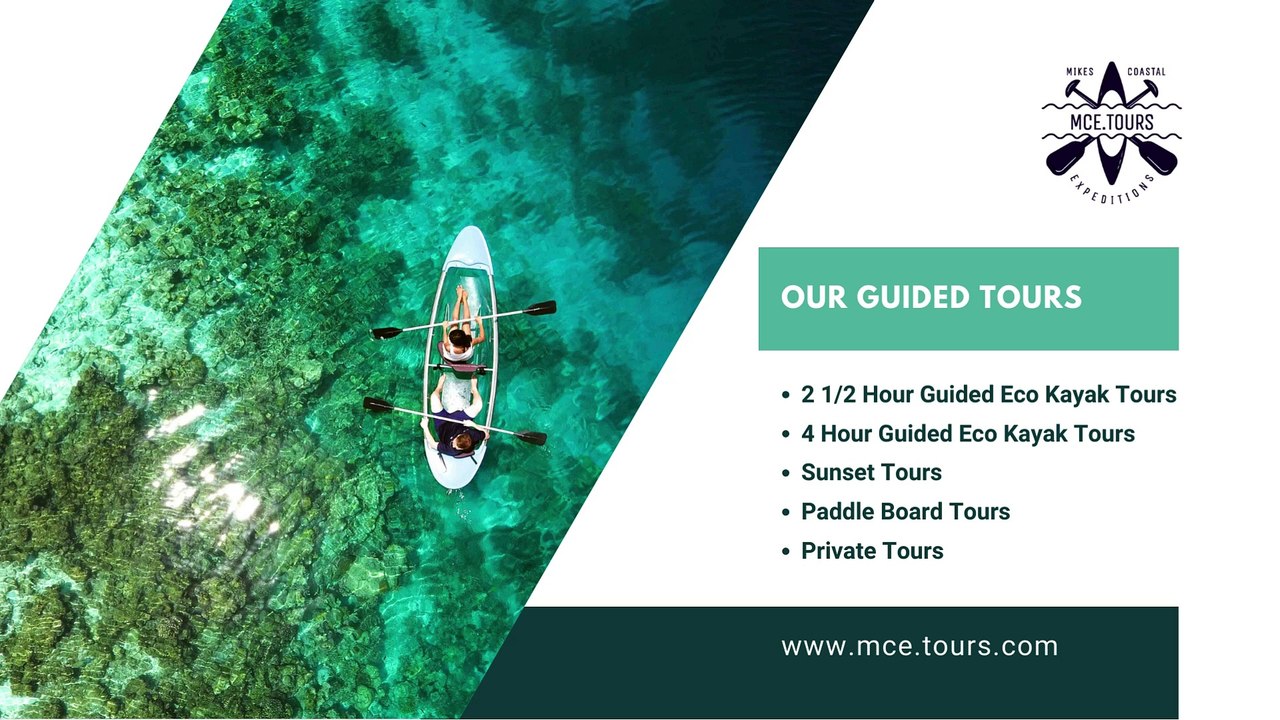 Explore Naples, Florida: Kayak Tours with Mike's Coastal Expeditions