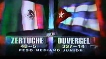 Alfredo Duvergel vs Jose Luis Zertuche