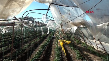 Antalya'da Sağnak ve hortum felaketi; 6 yaralı, 1000 dönüm serada zarar