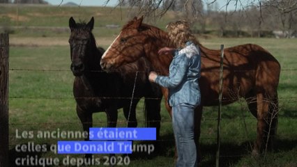 Le complotisme électoral, profondément enraciné dans la campagne américaine