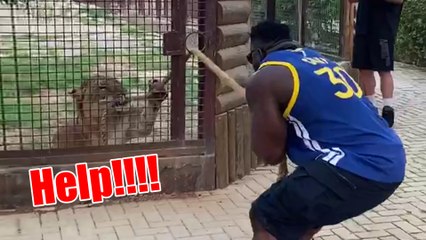 Wild & Wonderful! Celebrating Wildlife Day with Hilarious & Incredible Moments! #wildlifeday