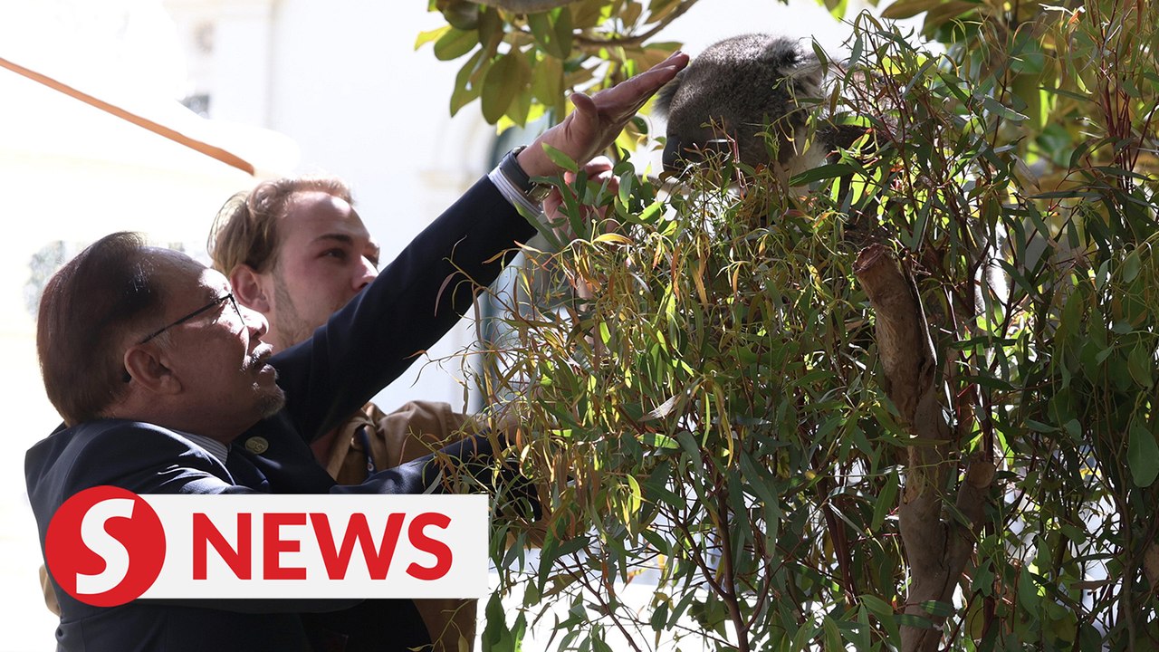 ASEAN leaders get up close with koalas at retreat in Melbourne