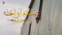 2014 فيلم سالم أبو أخته - بطولة محمد رجب وحورية فرغلي