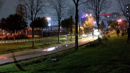 İstanbul'da parkta poşete sarılmış cenin bulundu
