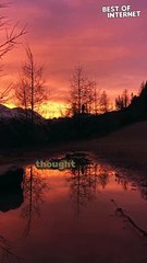 Surreal Wildlife Encounter | Ibex Herd Living Life to the Fullest