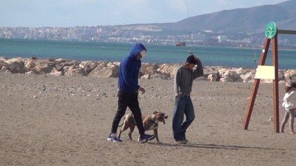 Alejandra Rubio y Carlo Constanzia, su romántico paseo por la playa en Málaga