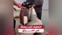 اصطياد أكبر سمكة في الموصل