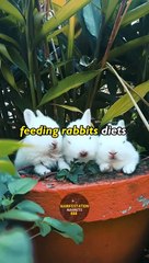 Transform Your Health with Power of Your Mind