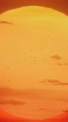 Assassin's Creed Red: Plongez dans le Japon féodal le plus sanglant et réaliste de la saga !