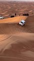 Thrilling Safari Adventures in Every Dune