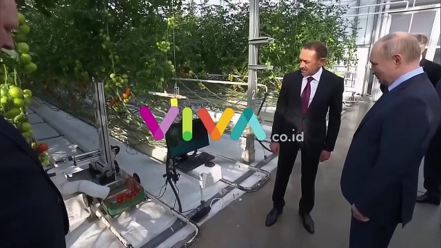 Tomat Buatan Robot Langsung Dicoba Oleh Sang Presiden Rusia