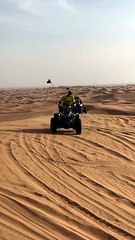 Thrilling Safari Adventures