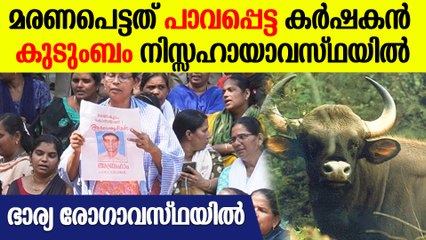 'ജനിച്ച മണ്ണിൽ ജീവിക്കാനാണീ സമരം'; നീതി നേടി അബ്രഹാമിന്റെ കുടുംബം